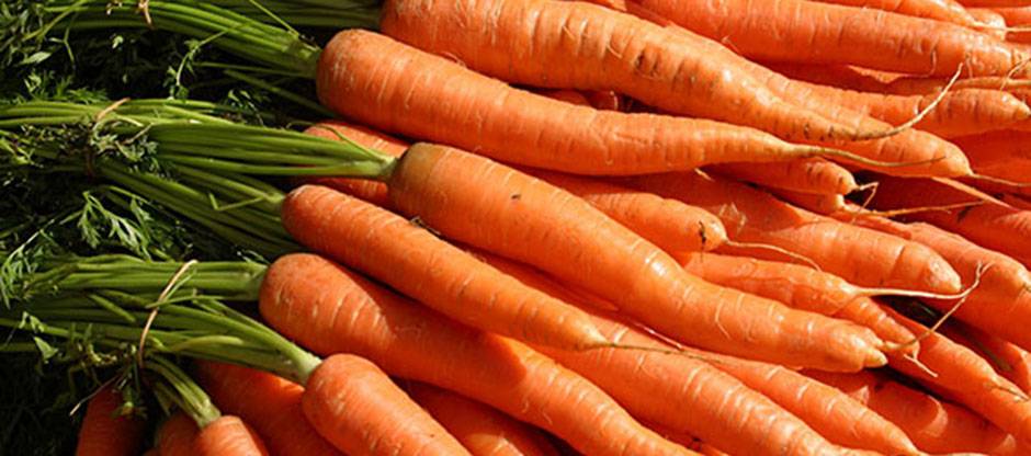 kyequine's tweet photo. Q&amp;A: Did you know that carrots used to make up a significant portion of cavalry horses' diets? Read our expert's advice for a modern-day horse with access to lots of carrots. https://t.co/WEk7K1r6sH #HorseHealth #EquineNutrition https://t.co/r7Lfid6FaY