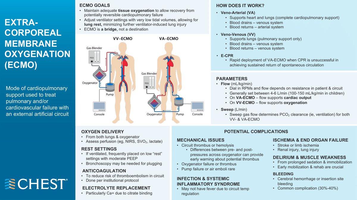 Como se hace la reanimacion cardio pulmonar