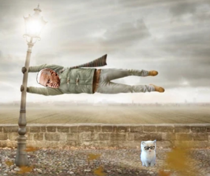 catturd2's tweet image. 