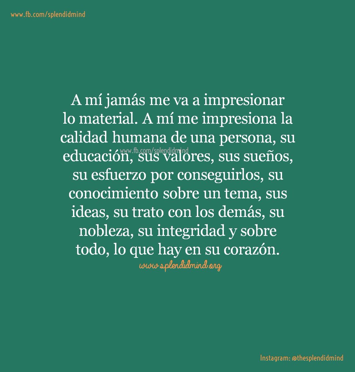 SplendidMind tweet media