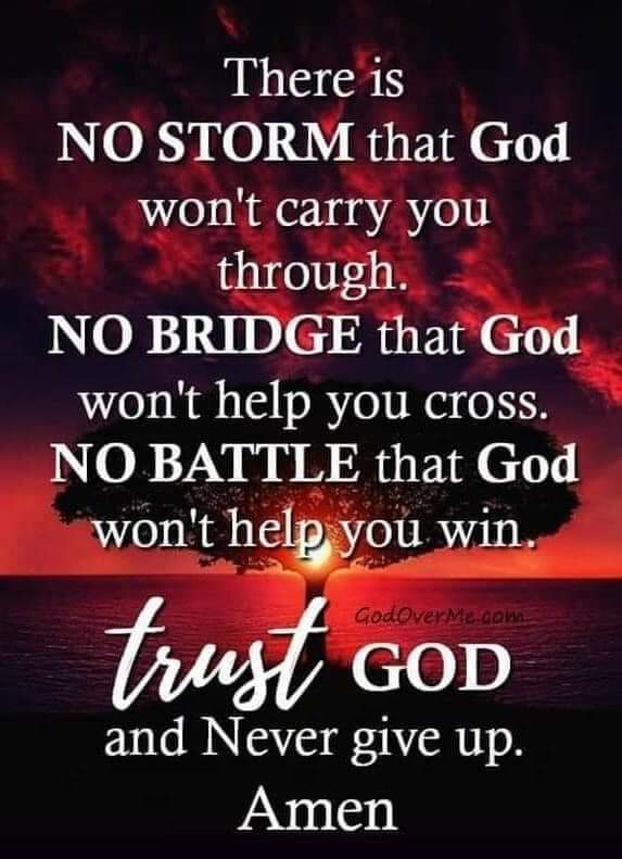 RobinMobley7's tweet image. 