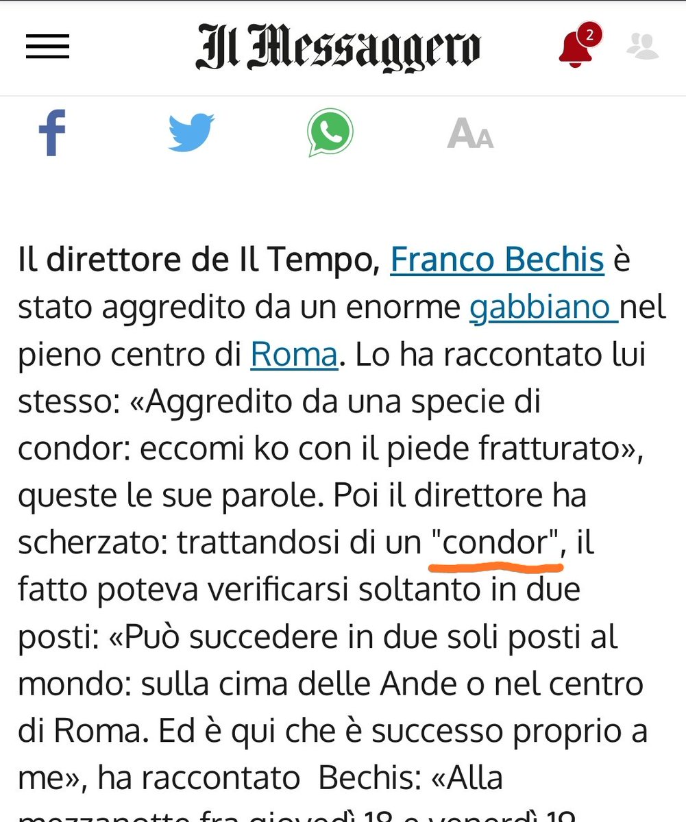 Questa cosa del condor sta sfuggendo di mano, eh <a href="/roberto4ngelini/">Roberto Angelini</a>? #propagandalive #condor #vardipuntata <a href="/welikeduel/">Propaganda Live</a> <a href="/zdizoro/">Diego Bianchi</a> <a href="/makkox/">makkox</a>