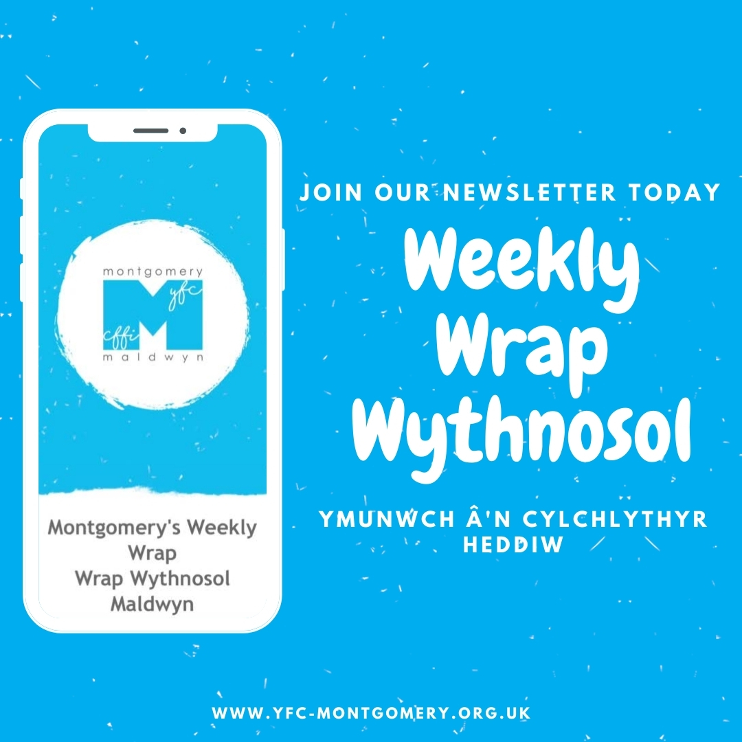 Weekly Wrap - Wrap Wythnosol (19/03/21) - mailchi.mp/28e7251b8a3d/k…