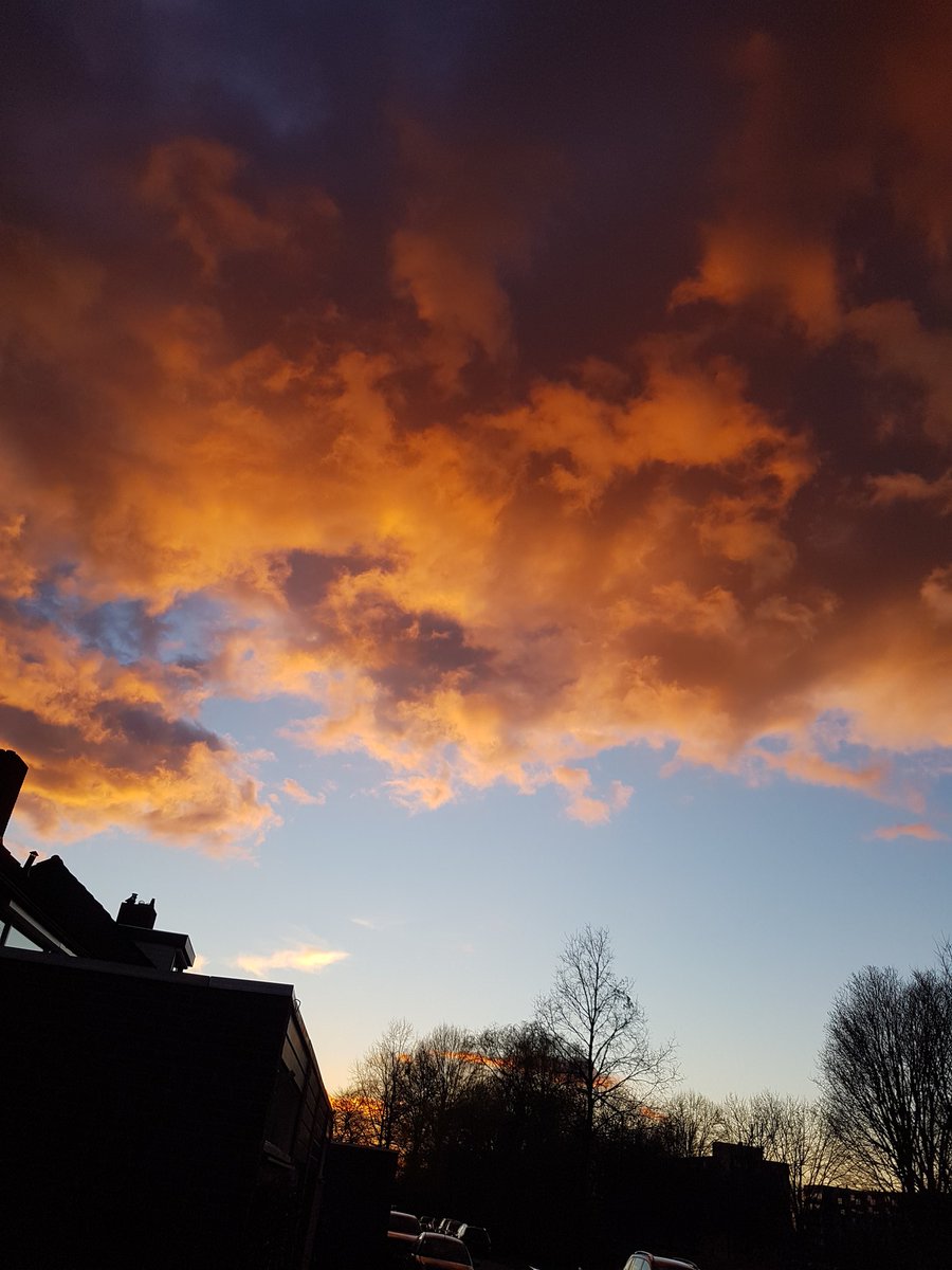 Roger Jans (@rogerjans) on Twitter photo 