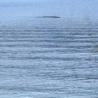#KohLanta MOI     vs    MES REVISIONS
