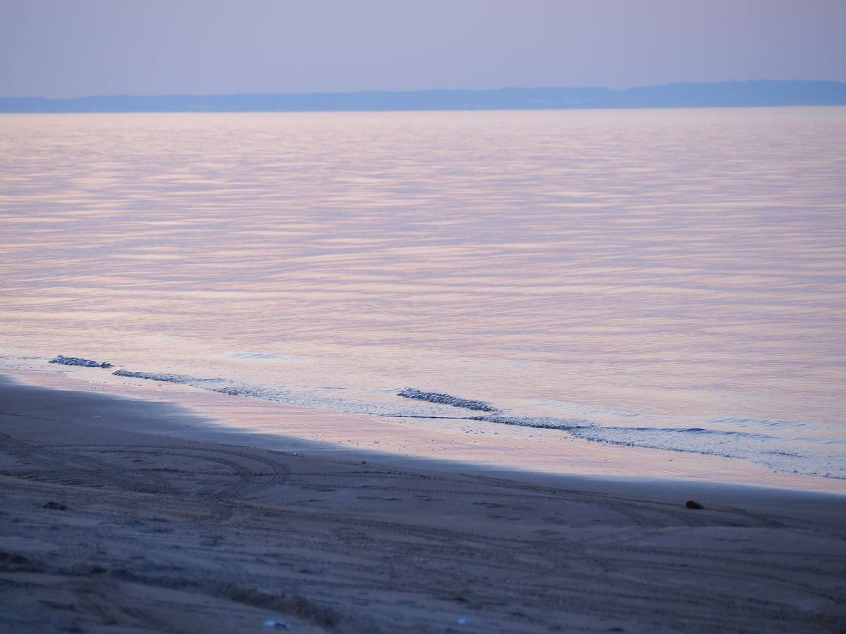 以久科原生花園