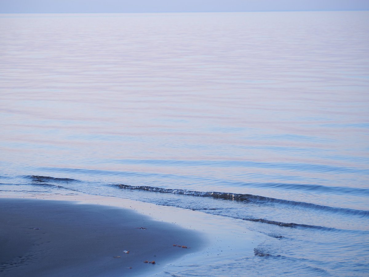 以久科原生花園