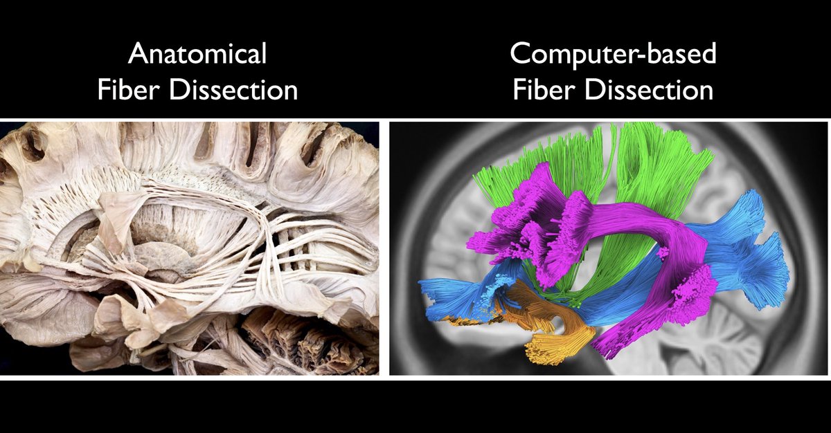 DrJFM - Juan C. Fernandez-Miranda MD - tweet media