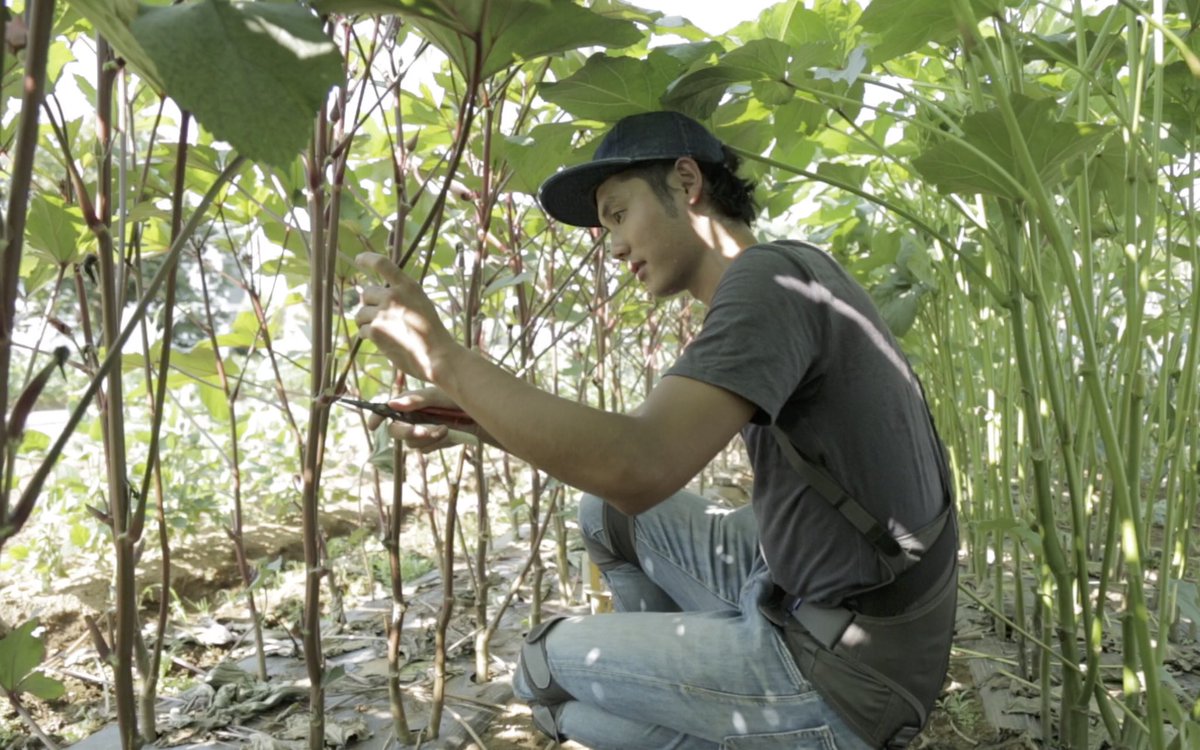 sakura_table's tweet image. This is a jacket that can support muscles in farm work. 
Introduced in Japanese agriculture, where the working population is declining.
upr-net.co.jp/products/suit/…