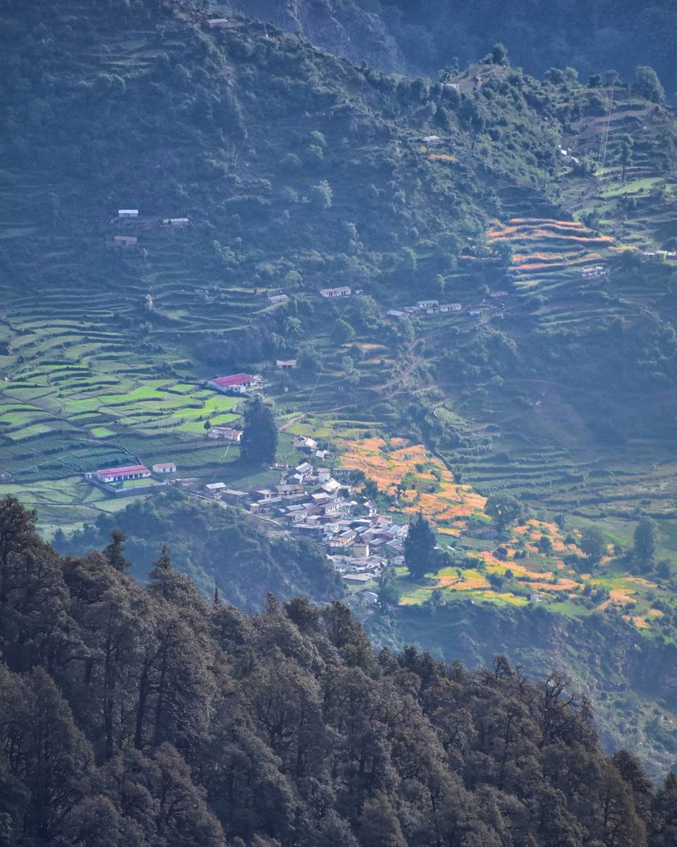 Thikane24's tweet photo. Rudranath is sometimes considered as the toughest Panch Kedar #Temple to reach.
The trek winds through tall grass, oak and rhododendron #forests. The trek path is stated to be slippery.
#NaturePhotography
#Uttarakhand #nature #homestay #offbeatuk @UTDBofficial #Photos #God https://t.co/f6oKzx7UIv