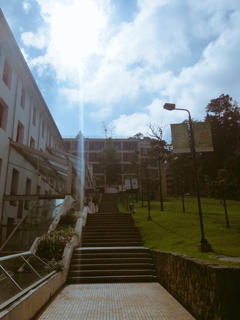 LuBasCas's tweet photo. Gracias a este lugar tan lindo por tanto!! @Uniandes https://t.co/U77Ejt9C4w