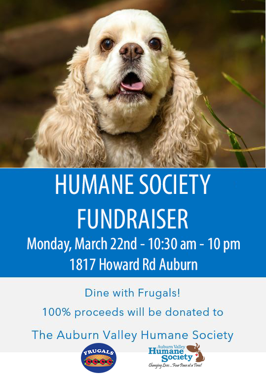 Auburn Valley Humane Society tweet media