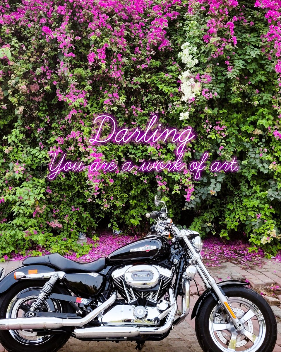 opensourcerider's tweet photo. Darling you are a work of art. #bougainvillea #opensourcerider #harleydavidson #sportster #custom1200 #1200custom #delhi #summervibes #summer #delhistreets #darling #flowers #badass #summerishere #jlnstadium https://t.co/Zh7eD4WP35