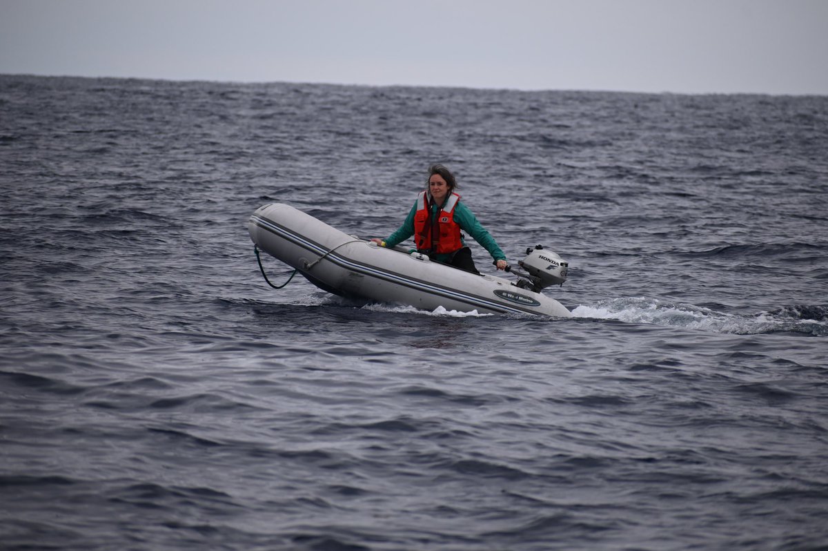 Science Journalist Jennifer Berglund joined the <a href="/WHOI/">Woods Hole Oceanographic Institution (WHOI)</a> team for several days of interviews and capturing #mesobot in action. She even borrowed our dinghy to get a new perspective on the recovery.  #oceantwilightzone #stationb