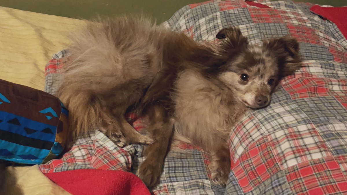 Caitlin Obom tweet media