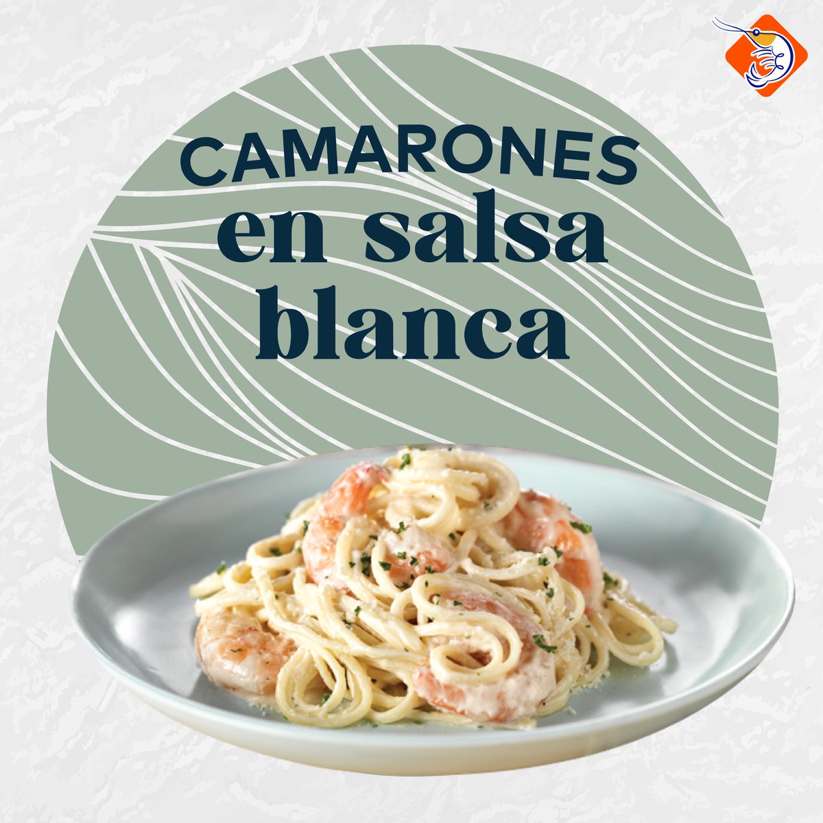 exportquilsa_ec's tweet photo. Mamma Mia !! Estos deliciosos camarones en salsa blanca son fáciles de preparar, combínalos con unos spaguettis y quedarán 10/10 👌🏻 https://t.co/H52dggUP4l