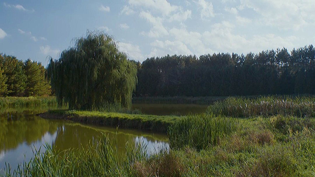 hstylespc's tweet image. a cada dez segundos de série tem uma pintura, isso é fato

AWAE FOUR YEARS