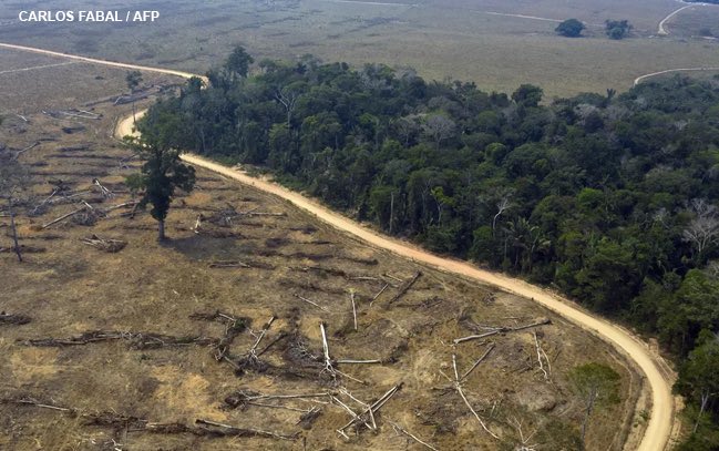 AnneK1189's tweet photo. La #déforestation sauvage de la forêt amazonienne afin d’extraire le balsa pour la construction des pales d’#eolienne.
Étonnant, non ? https://t.co/TcM07lEEnY