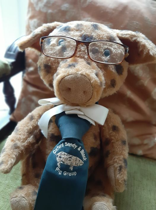OxfordPig's tweet photo. #OSBPG PIG FACT FRIDAY

A 75kg pig has the same-sized heart as a 75kg human, with the same pumping capacity.
#pigfact #OSBPGPigFact #FactFriday #education @battersea_zoo @CotsWildTweets @BictonHomeFarm @SchoolFarmers https://t.co/iNBiM1DjL5