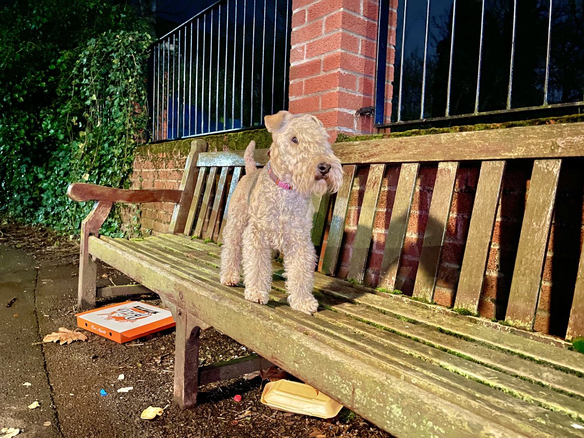 I’m not a dog who likes to moan but why would someone sit on my favourite bench eat a pizza and leave their rubbish behind especially when there is a bin less than 8 feet away. Sometimes humans are beyond me it’s just disgraceful behaviour 😯