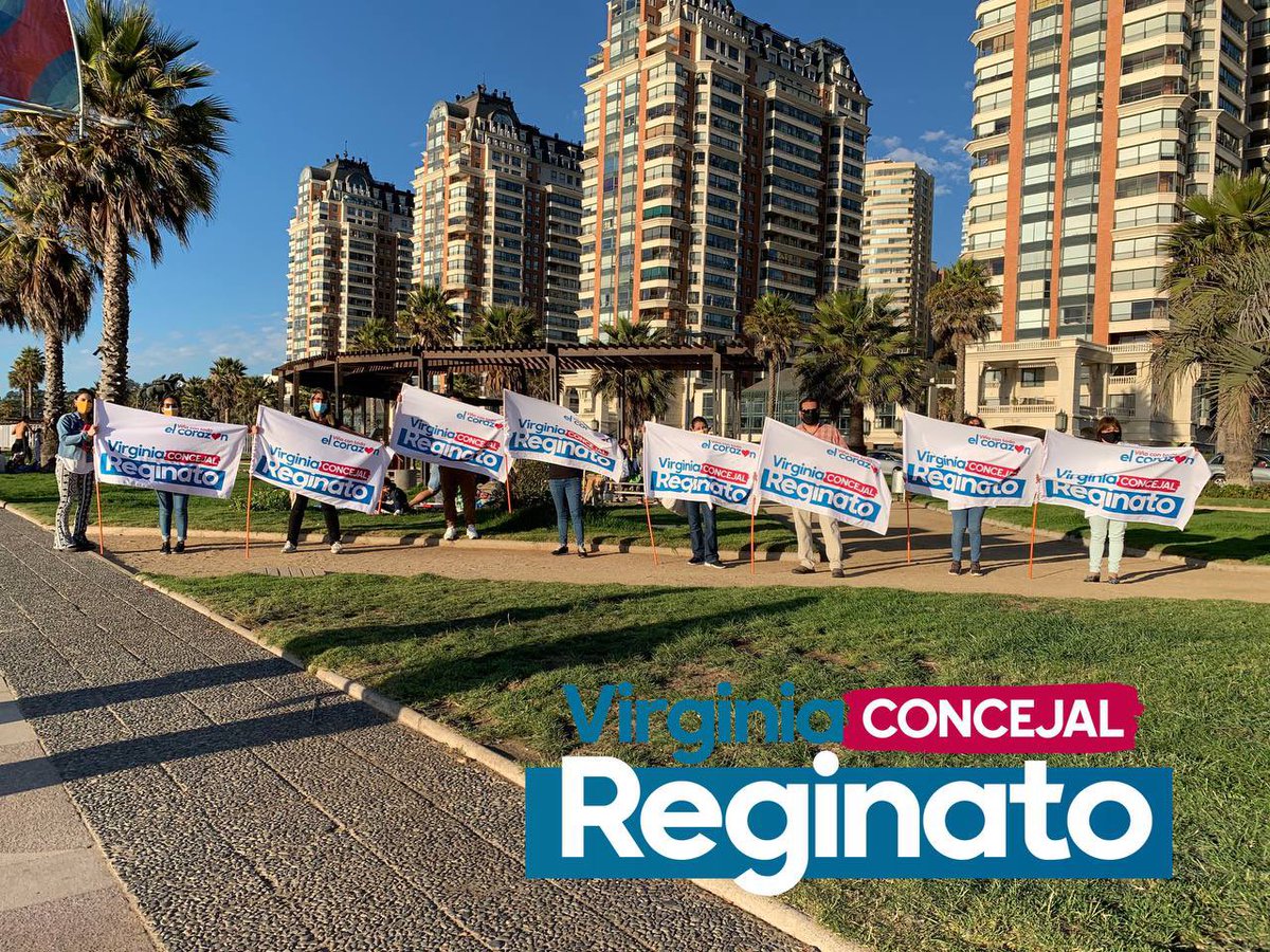 Virginia Reginato tweet media