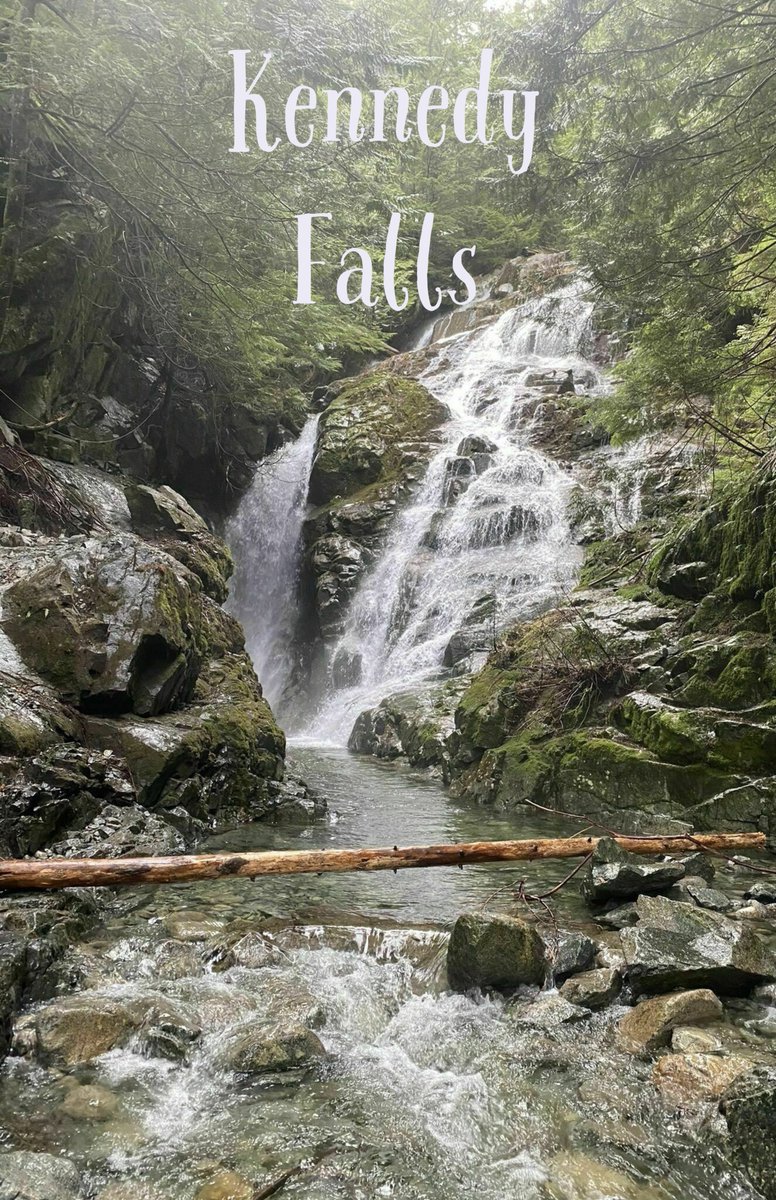 The beautiful Kennedy Falls can be found at the end of 12.1 km Cedar Tree Trail. This woodland hike is a very popular North Vancouver trail that ticks all the boxes of a perfect hike. Great trail, beautiful wildlife, luscious forest, and to top it off, a gorgeous waterfall. ⁠