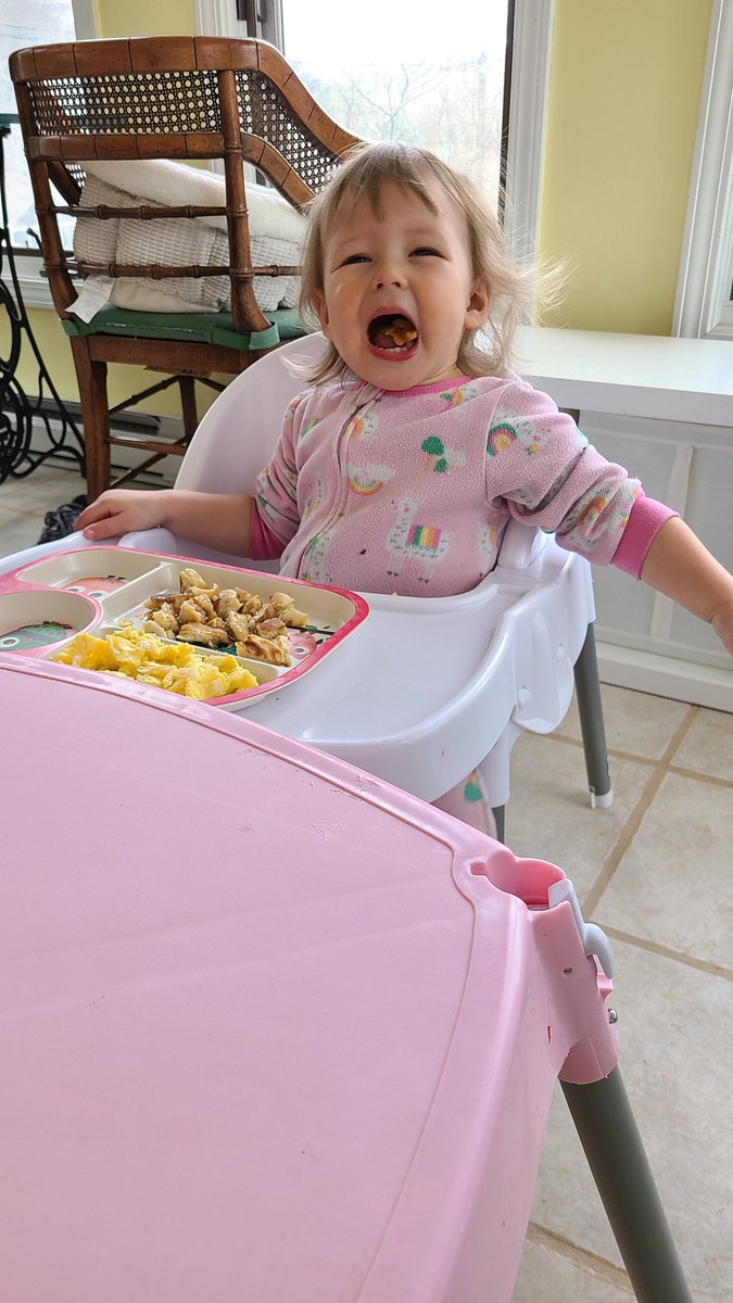 Fri, Mar 19, Book Day #34-Last night's planning paid off with 1,000 decent words today and a path forward for the rest of Ch. 7.-Cut my work day short to hang with grandbaby Zoey #writingaccountability  #guncurious  #book  #grandparenting