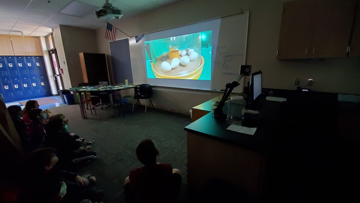 Skaggs PACE tweet media