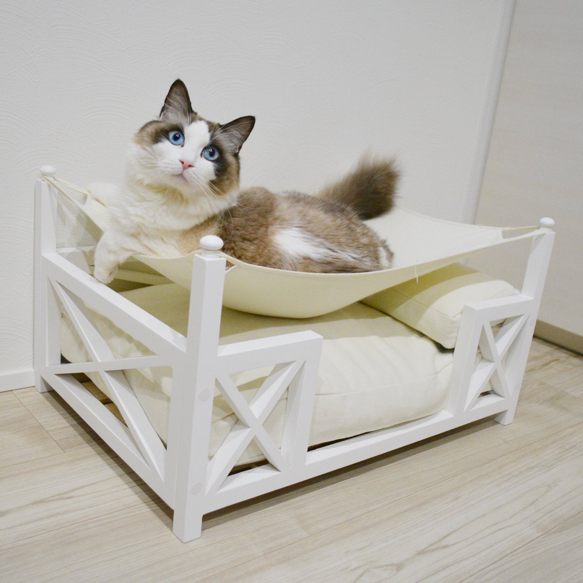 nyaaaaalsok's tweet photo. フォトコンテストされています💗📷
\とっても素敵なベッドですにゃ😻💗💗/
#ヘルシープ
#healthype
#オシャレペットグッズ https://t.co/rpQD42gUsG
