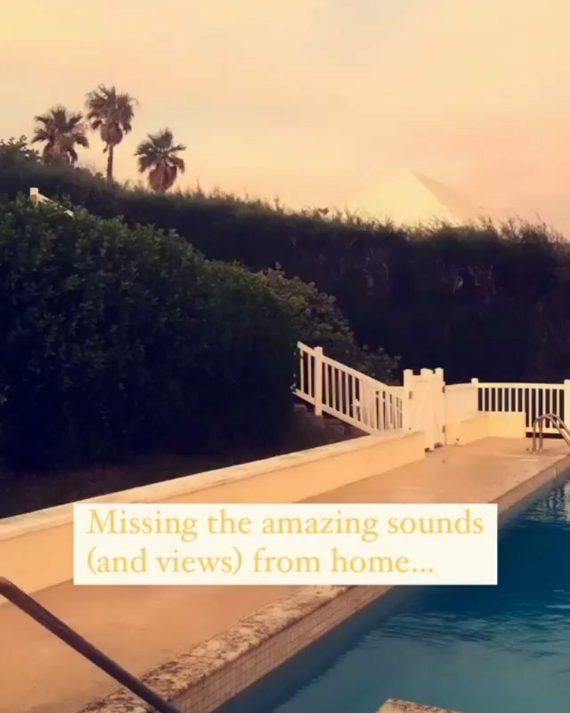 WeAreBermuda's tweet photo. Sound on!!!
Growing up the sound of the tree frogs was always so calming. Looking forward to more evenings like this some day soon! 📷:@h.b_adventures
•
•
•
•
•
#missinghome #bermuda #bermudatriangle #bermudadreaming #ahhbermuda #takemeto #wearebermuda #soundsofnature #o… https://t.co/m1gqkLanhL
