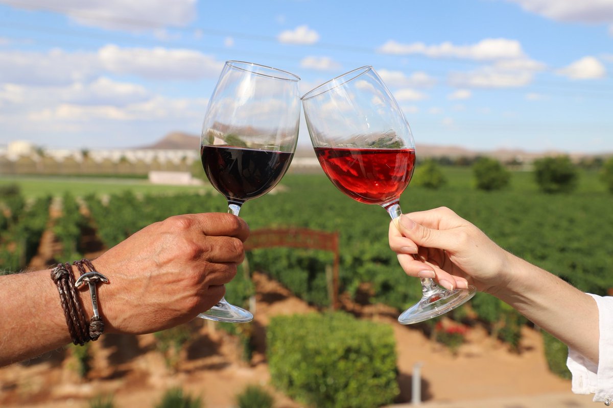 Disfrutar de la tarde, 🌄 con una riquísima copa de vino 🍷 de <a href="/VTierraAdentro/">Vinos Tierra Adentro</a> 🍇 y una buena compañía, es todo lo que necesitas para comenzar tu fin de semana en #ZacatecasDeslumbrante 😍