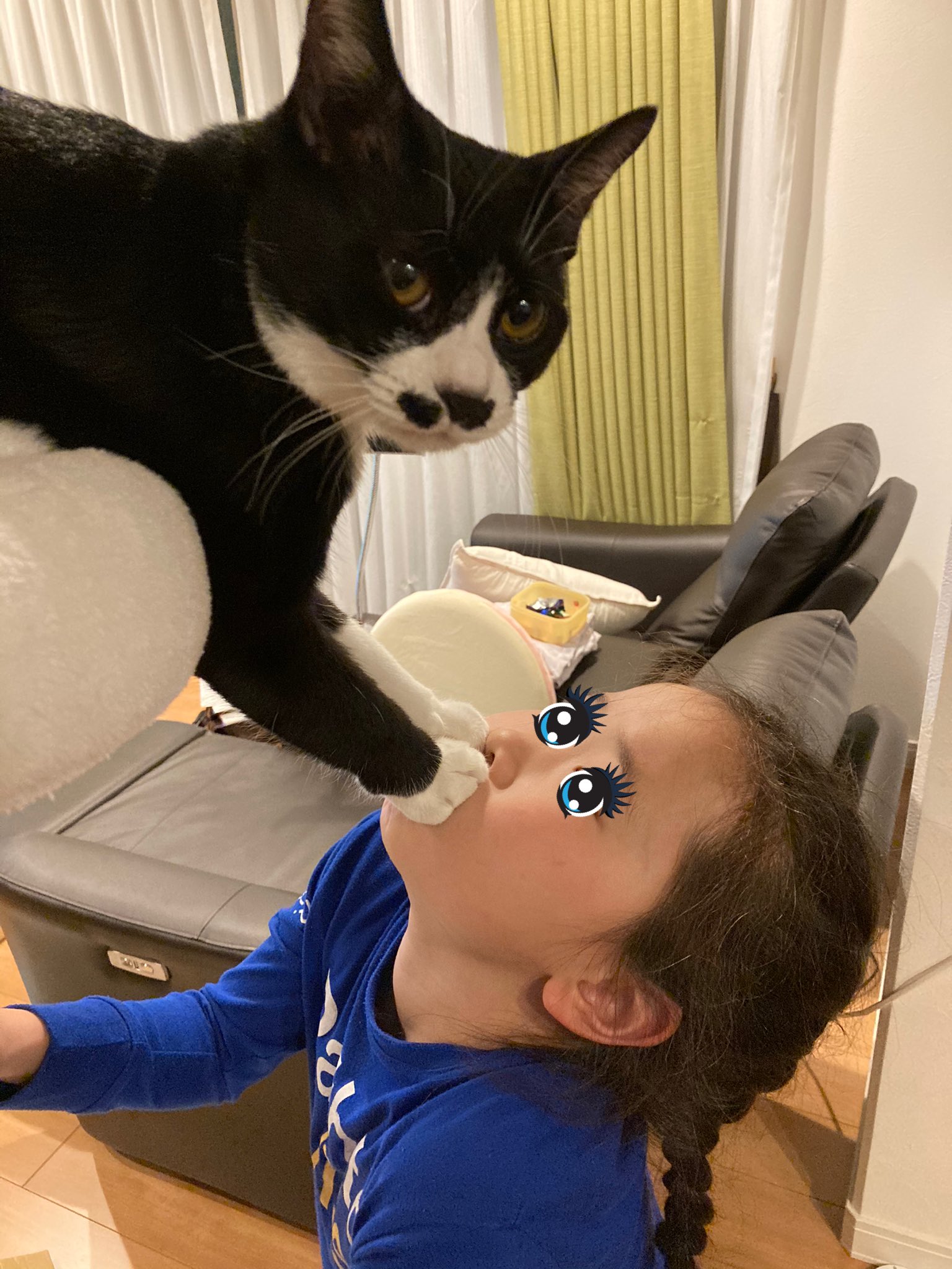 Neve しっ 静かに 誰かくるッ 猫好きさんと繋がりたい ねこ 近づく足音 犯人は誰 緊張感 猫のいる暮らし 猫のいる幸せ T Co Lu5jhpjzt0 Twitter