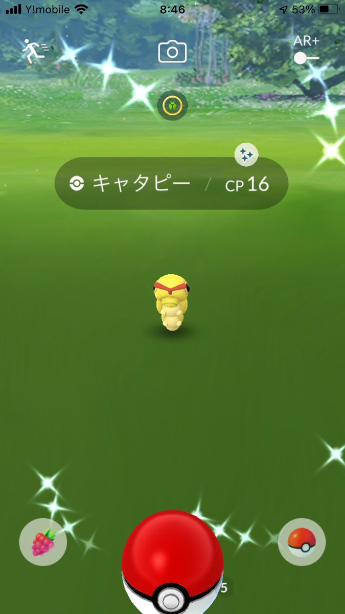 ポケモンgo トランセルの入手方法 能力 技まとめ 攻略大百科