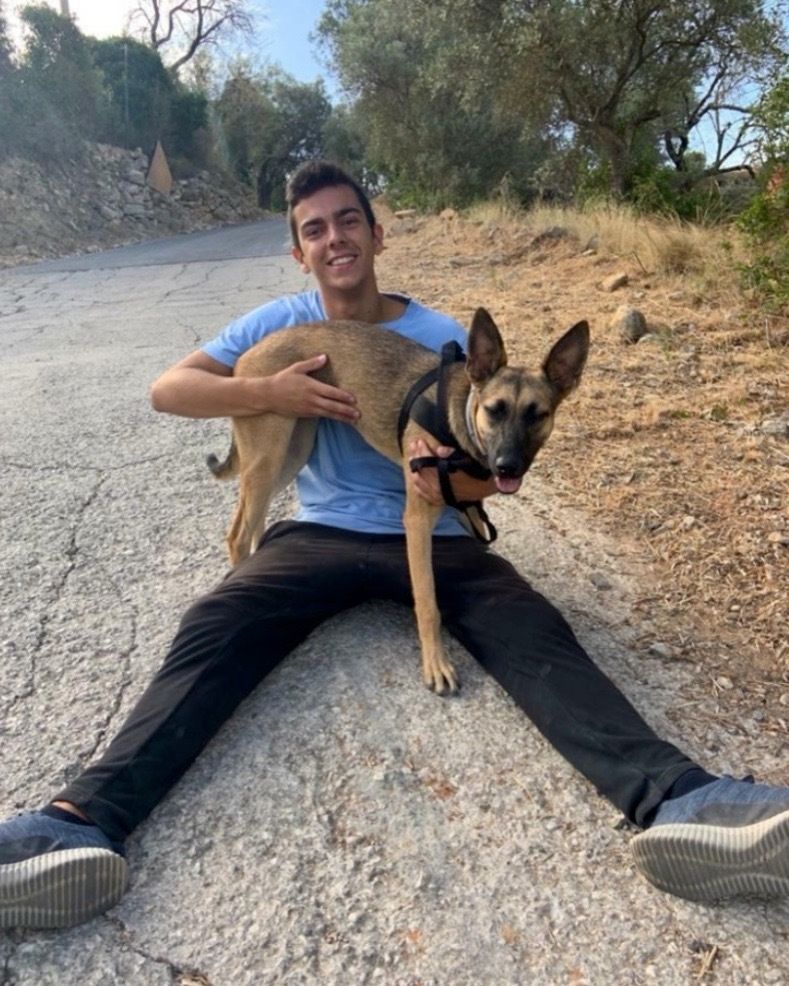 LSA_Tweets's tweet photo. #RescueTales
Joao, @j0a0_bernard0, volunteers with Animal Rescue Algarve (ARA) in Loué. He's in the process of studying to become a vet as he has always had a passion to help animals! https://t.co/uydqBzpyRb