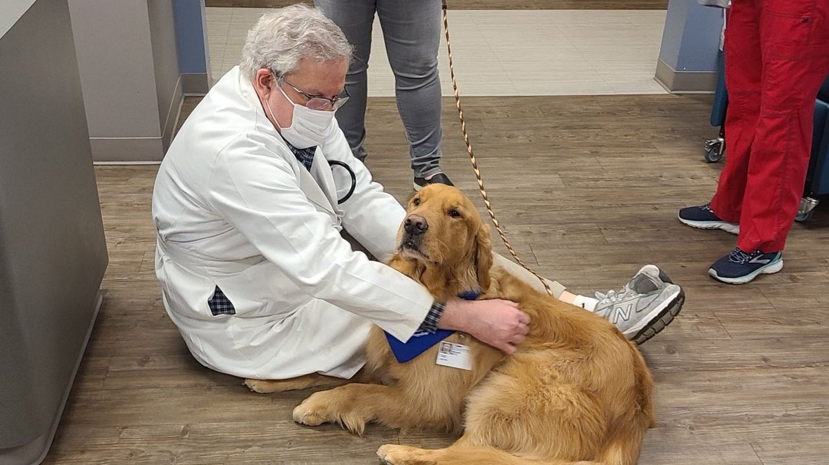 Last week, #therapydog Tag helped spread joy and ease #workplacestress at the infusion clinic where infectious disease specialist Dr. Stephen Threlkeld works. It was #MidSouthTherapyDogs first visit to the clinic since the #covid19 #pandemic began. #FeelGoodFriday #fbf