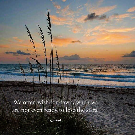Ananya_021's tweet photo. 'We often wish for dawn, when we are not even ready to lose the stars.'
#WritingCommunity #writer #quoteoftheday #poetrycommunity https://t.co/TWV3PUm9CN