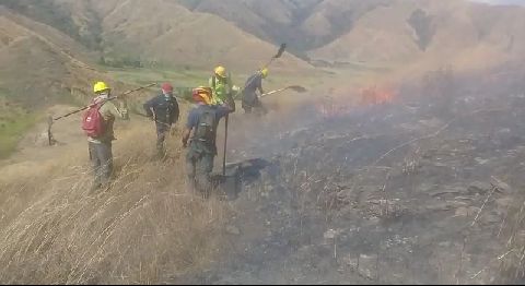 pcmbi's tweet photo. #19Mar Combate y Extinción de Incendio de Vegetación en Conjunto con los @bforestalesinp  Sector La Trinidad Avenida Universidad #MBI @BrullerbyPSUV @droopy171 @PCAD_Aragua @PCivil_Ve @LimonActivo @minec_aragua @efrenochoa https://t.co/SNydvBDlVt