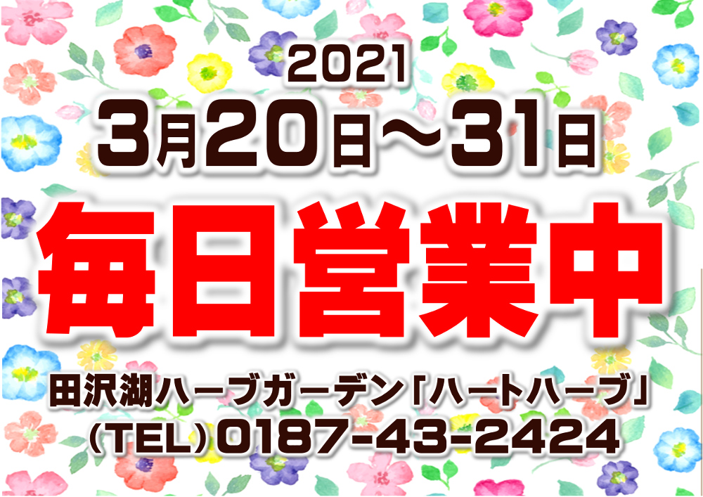 田沢湖ハーブガーデン ハートハーブ Aromatazawako Twitter
