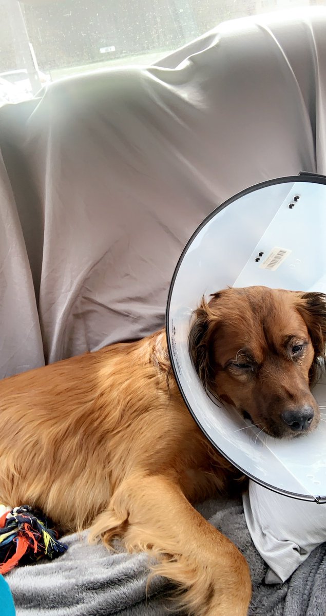 DaRealMilo's tweet image. Don’t know what I did to deserve this