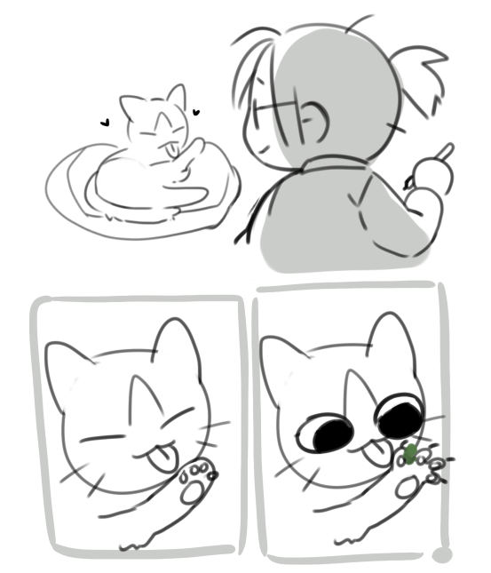 cats are cute until they're just... not 