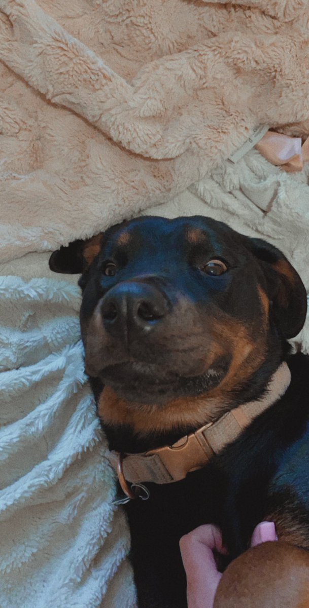 <a href="/KylieJohnsonnn/">kylie j</a> <a href="/annificus/">annie p</a> but i mean you can’t put a price tag on that face :,)