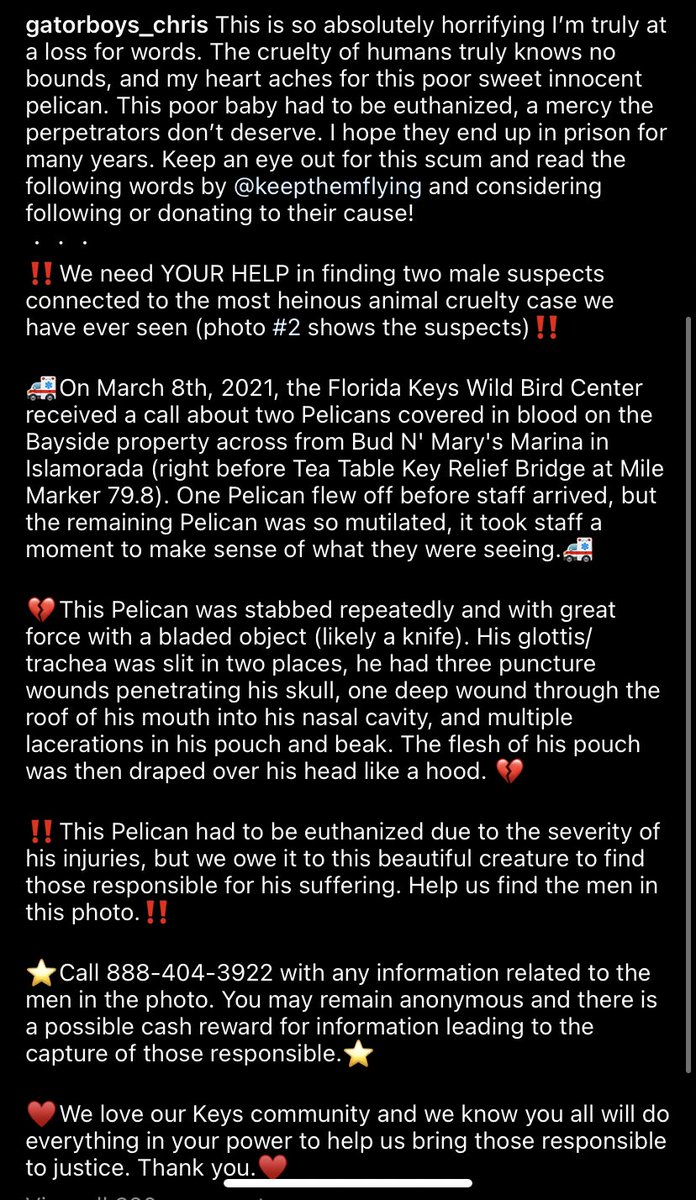 Ponzi Trader tweet media