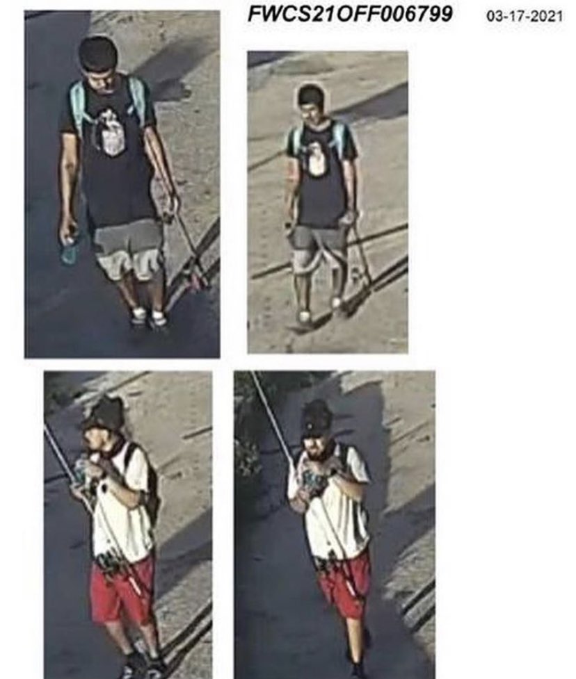 Ponzi Trader tweet media