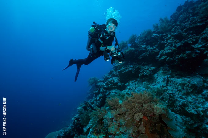 Image from Sylvia A. Earle (@SylviaEarle)