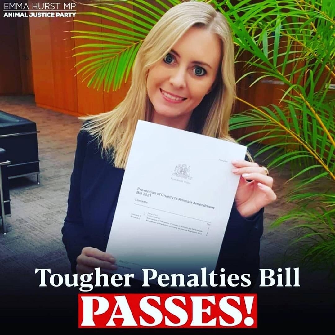 kaylamarie413's tweet image. #Australia toughest laws in their country. Why cant we do this in U.S.? We need stronger penalties and action when theres any mind of neglect or abuse. Congratulations Australia! #changethelaws #convictforanimalabuse U.S. is at the bottom for animal cruelty laws.