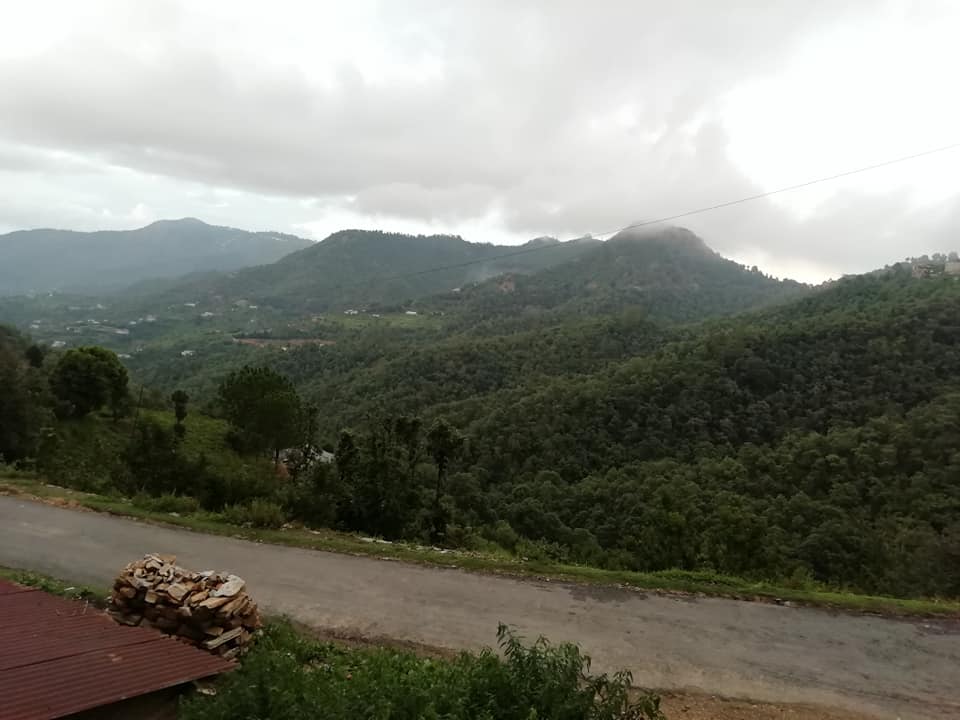 Mukteshwar_'s tweet photo. Mukteshwar is a small but very beautiful Himalayan Town in @NainitalDistrict

#Mukteshwar is rich in scenic beauty &amp; famous for its Himalayan Range
Green Valley View
Apples
Apricot 
Plums
Oak  Rhododendron Forest

#मुक्तेश्वर #Nainital #Uttarakhand #NainitalTourism #Himalayas https://t.co/RmjhmoX5FM