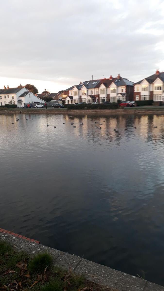 First market of 2021 in Emsworth today. So pleased to be back #farmersmarket