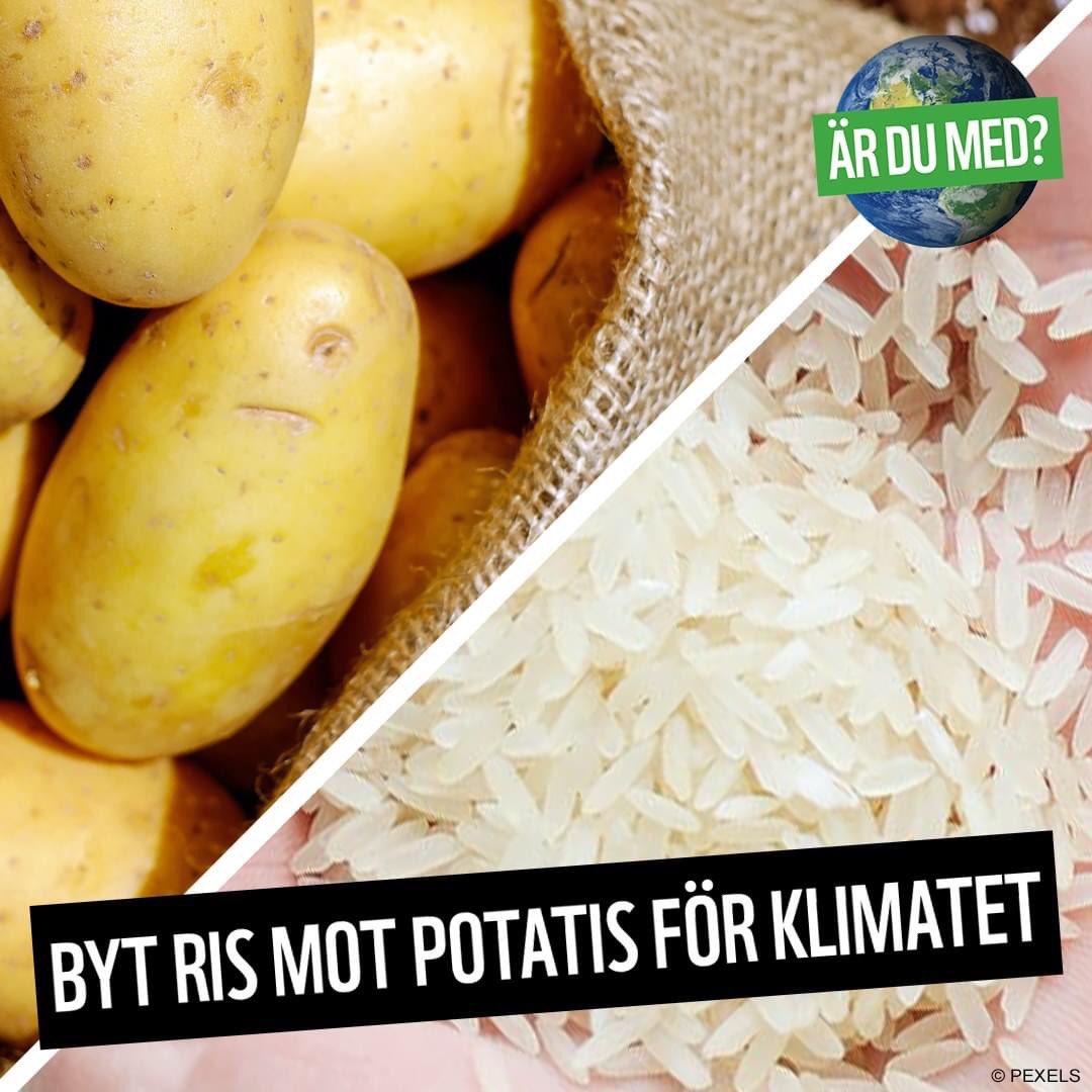 Ett 3️⃣0️⃣ gånger bättre val ur klimatsynpunkt när du väljer potatis istället för ris. En av 50 enkla förändringar du kan anta på wwf.se/ardumed/forand…
Vissa saker är så enkla men har stor betydelse. #Ärdumed ?