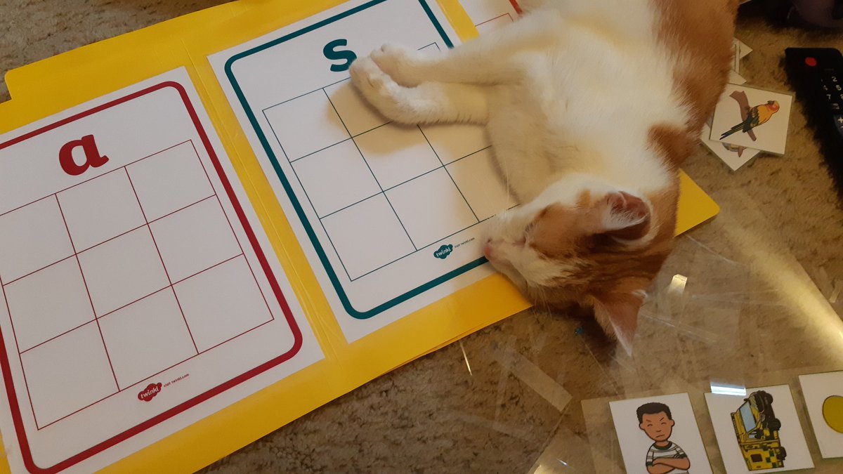 nessazie's tweet photo. When you put a pet blanket out but your cat decides to sleep on your work instead! https://t.co/diNKtuOlqt