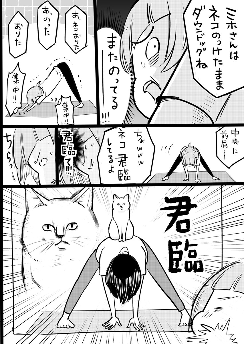 猫の自由さはなんなの 